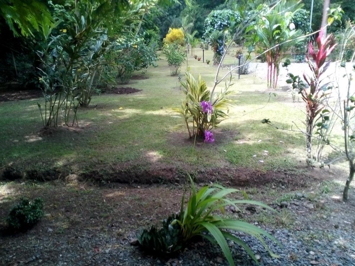 קאוויטה Puerto Vargas Lodge מראה חיצוני תמונה